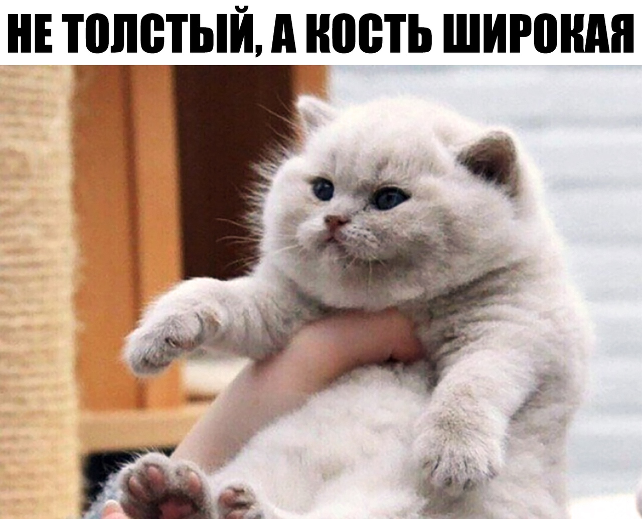 НЕ ТОЛСТЫЙ А ность ШИРПШШ Ч дит ФЦ
