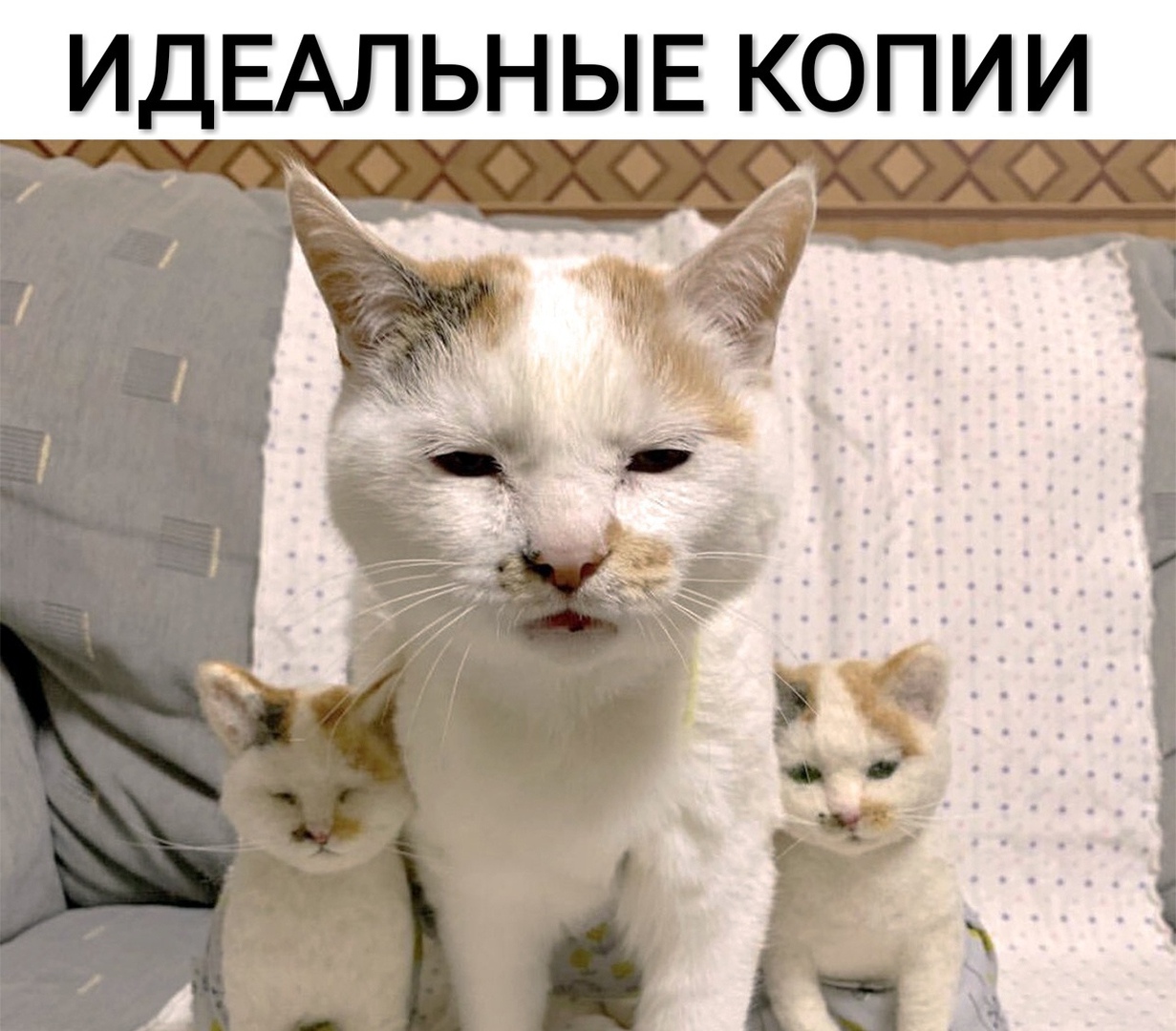 ИДЕАЛЬНЫЕ КОПИИ
