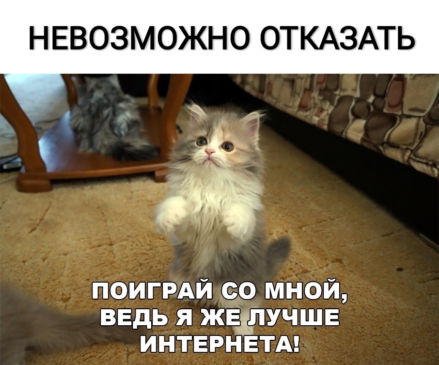 НЕВОЗМОЖНО ОТКАЗАТЬ ПОИГРАЙ со мной ВЕДЬ я жвілучшв ИНТЕРНЕТА