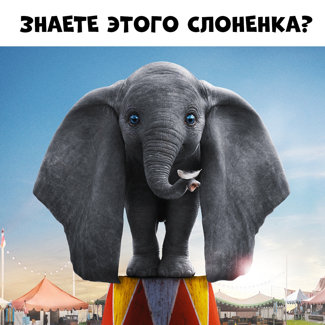 ЗНАЕТЕ ЭТОГО СПОНЕНКА