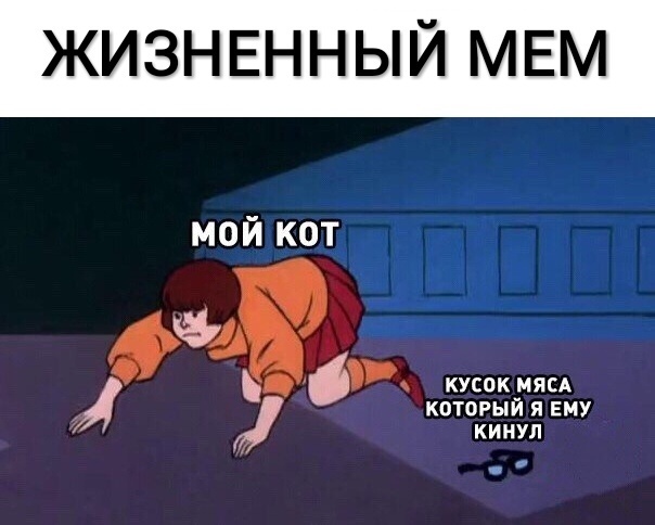 ЖИЗНЕННЫЙ МЕМ мой кот кусок МЯСА который я ЕМУ КИНУЛ