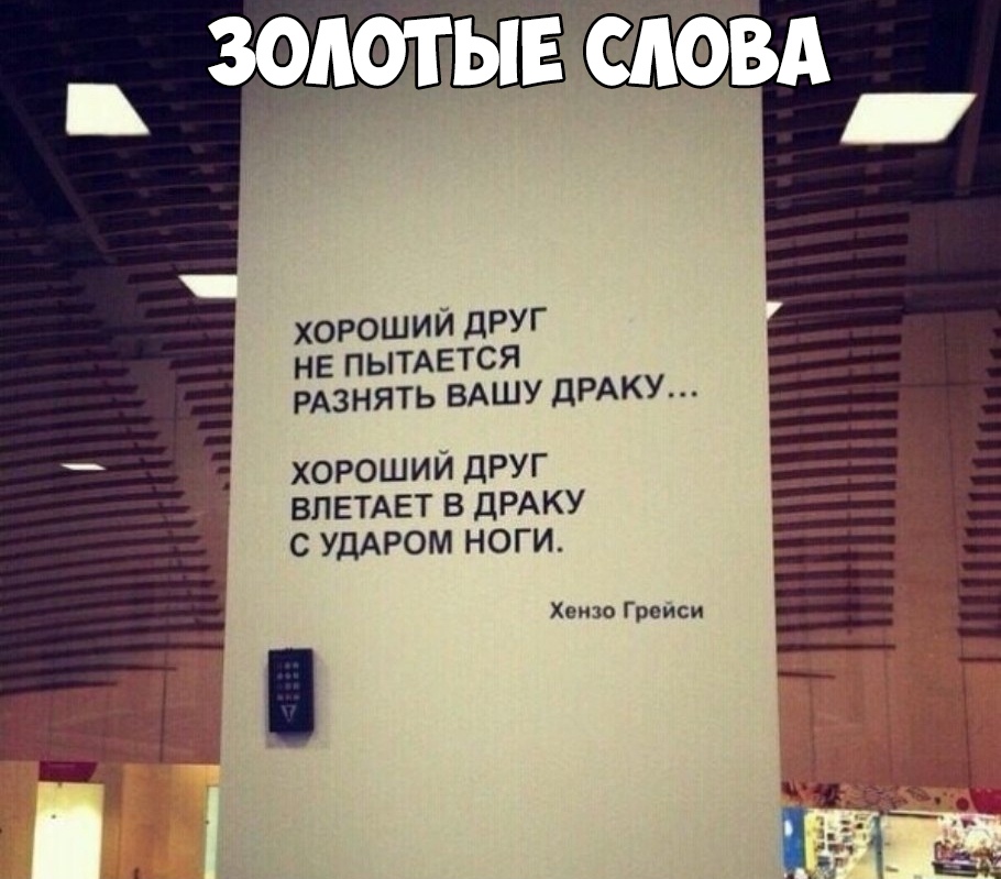 ХОРОШИЙ ДРУГ НЕ ПЫТАЕТСЯ РАЗНЯТЬ ВАШУ ДРАКУ хороший дРУГ влетмгт в ДРАКУ с УДАРОМ ноги Хеизо Грам