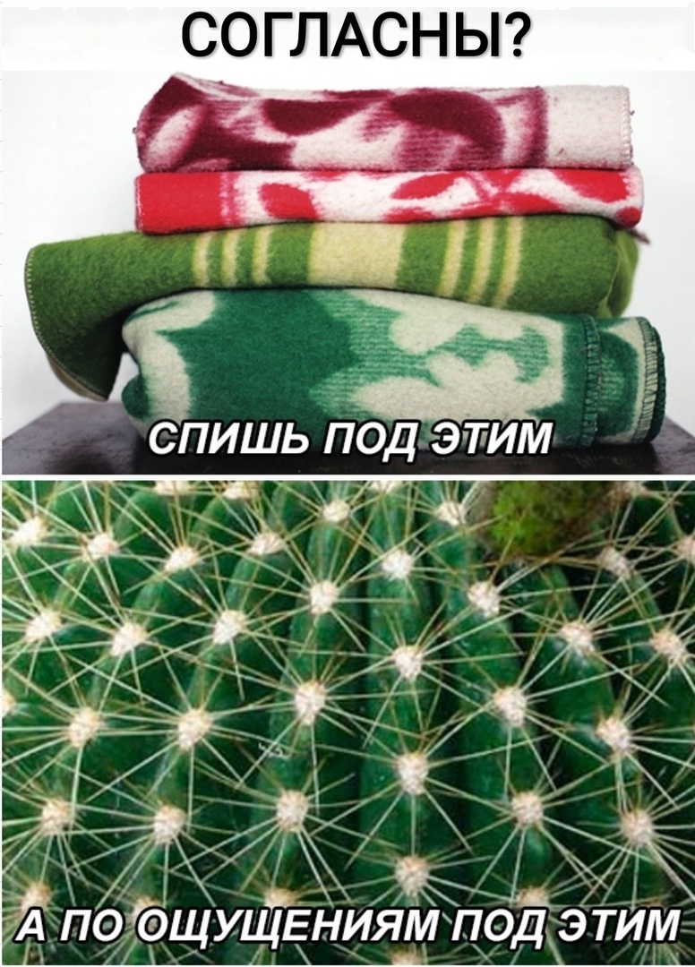 п Ь Н С А О С