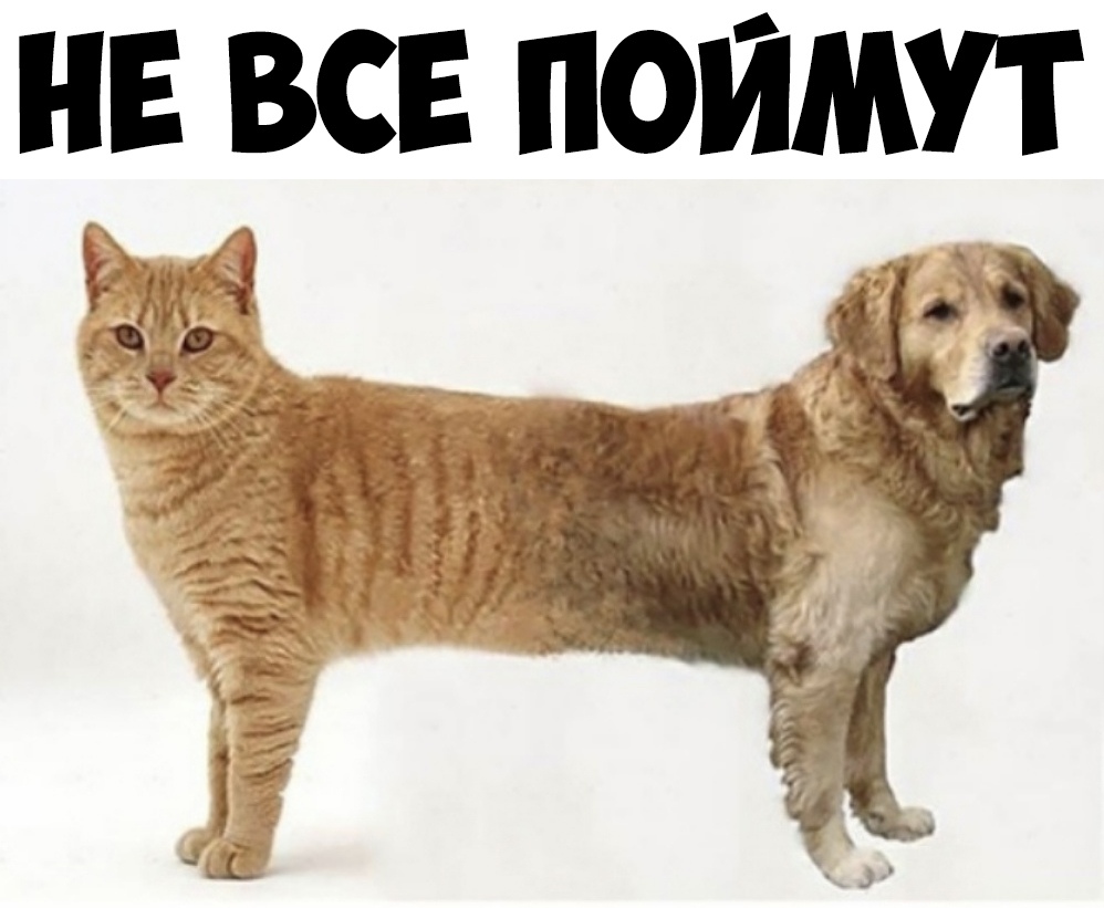 НЕ ВСЕ ПОЙМУТ