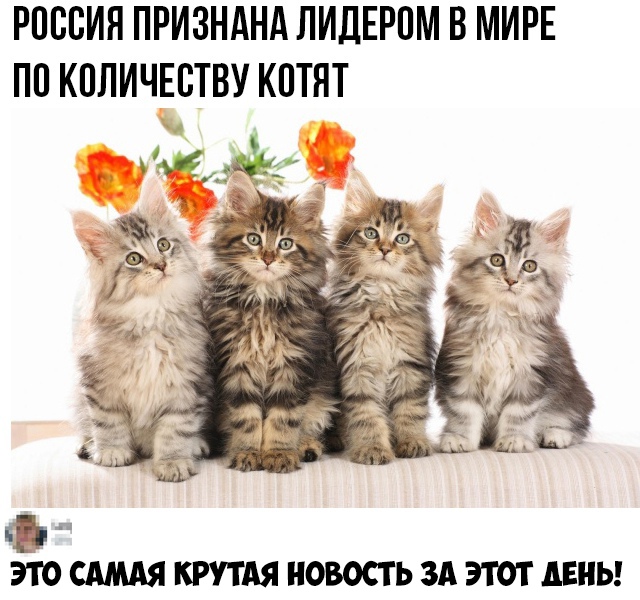 РПВВИЯ ПРИЗНАНА ЛИДЕРОМ В МИРЕ ПП КПЛИЧЕВТВУ КПТЯТ ЭТО САМАЯ КРУТАЯ НОВОСТЬ ЗА ЭТОТ ЛЕНЬ