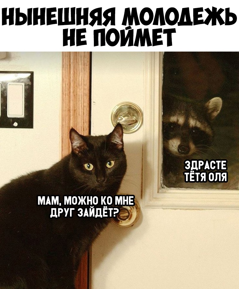 НЫНЕШНЯЯ МОЛОДЕЖЬ НЕ ПОИМЕТ И ЗДРАСТЕ ТЕ_ТЯ ОЛЯ мдм можнр кр мНв друг здидЕтэм