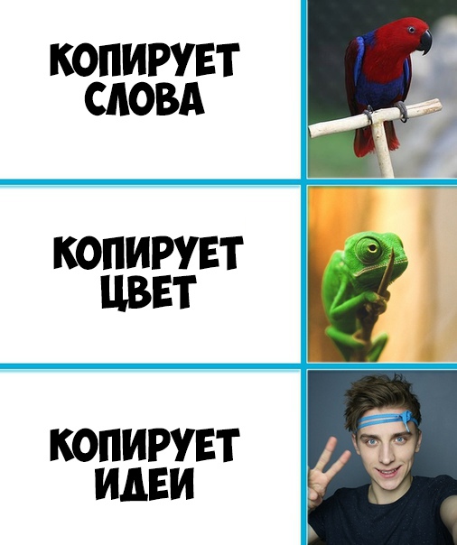 КОПИРУЕТ СЛОВА КОПИРУЕТ ЦВЕТ КОПИРУЕТ ИДЕИ