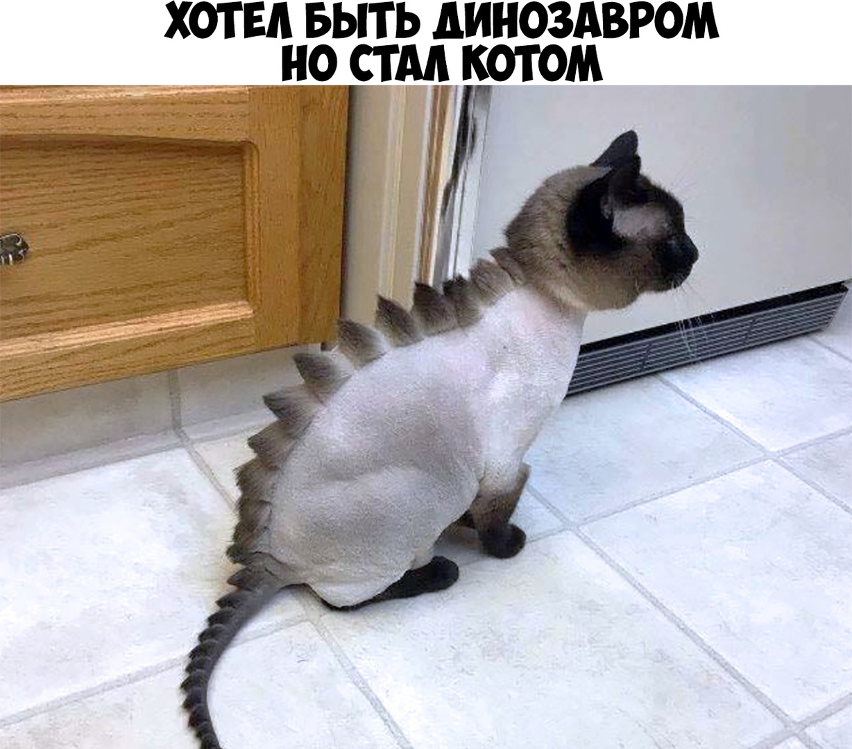 ХОТ ЕА БЫТЬ АИНОЗАВРОМ