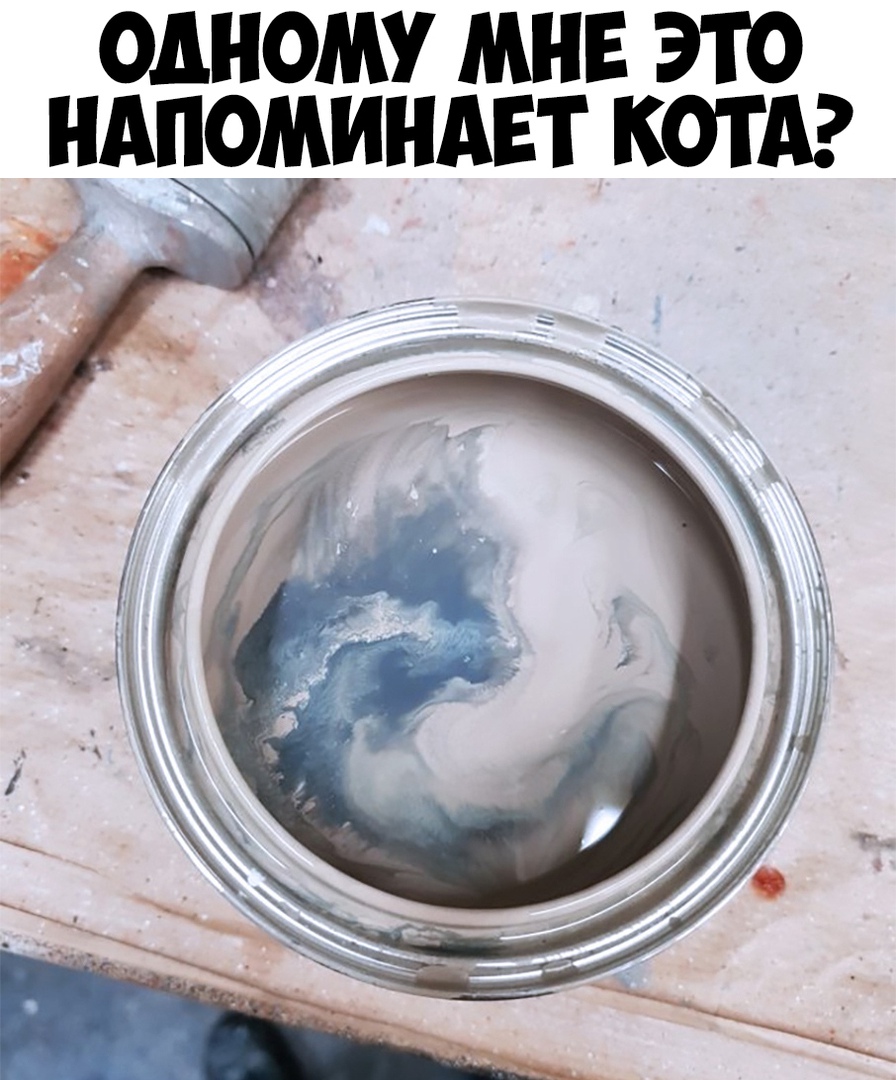 одному мне это ндпоминдвт КОТА