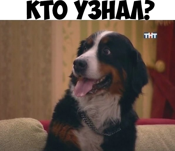 ШП Ш тнг