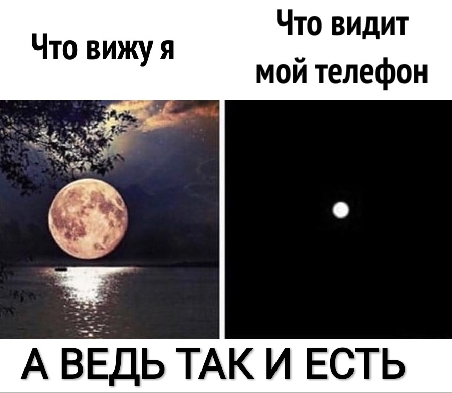 Что видит Что ви я _ жу мои телефон А ВЕДЬ ТАК и ЕСТЬ