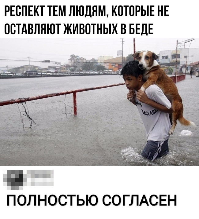 РЕСПЕКТ ТЕМ ЛЮДЯМ КОТОРЫЕ НЕ ВСТАВЛЯЮТ ЖИВВТНЫХ В БЕДЕ ПОЛНОСТЬЮ СОГЛАСЕН