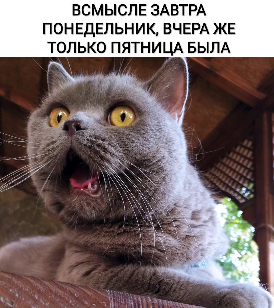 ВСМЫСЛЕ ЗАВТРА ПОНЕДЕЛЬНИК ВЧЕРА ЖЕ ТОЛЬКО ПЯТНИЦА БЫЛА