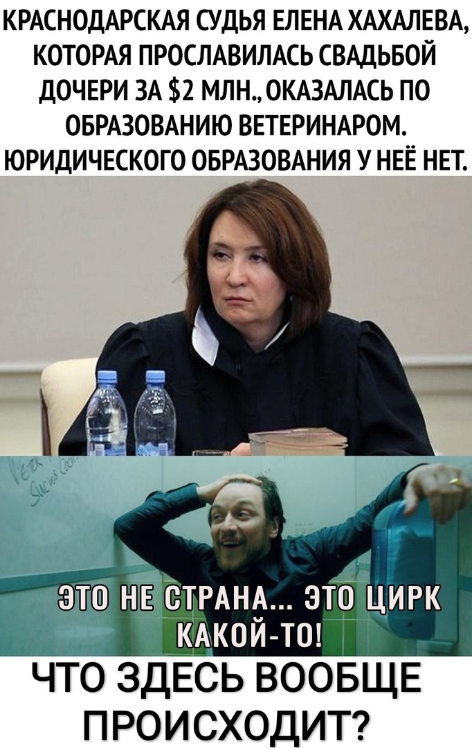 КРАСНОДАРСКАЯ судья ЕЛЕНА ХАХАЛЕВА КОТОРАЯ ПРОСЛАВИЛАСЬ СВАДЬБОЙ ДОЧЕРИ 3А 2 МЛНОКАЗАЛАСЬ по ОБРАЗОВАНИЮ ВЕТЕРИНАРОМ ЮРИДИЧЕСКОГО ОБРАЗОВАНИЯ НЕЁ НЕТ ЭТО НЕ _РАНА этО ЦИРк тюкои тш _ что здЁсь ВООБЩЕ ПРОИСХОДИТ