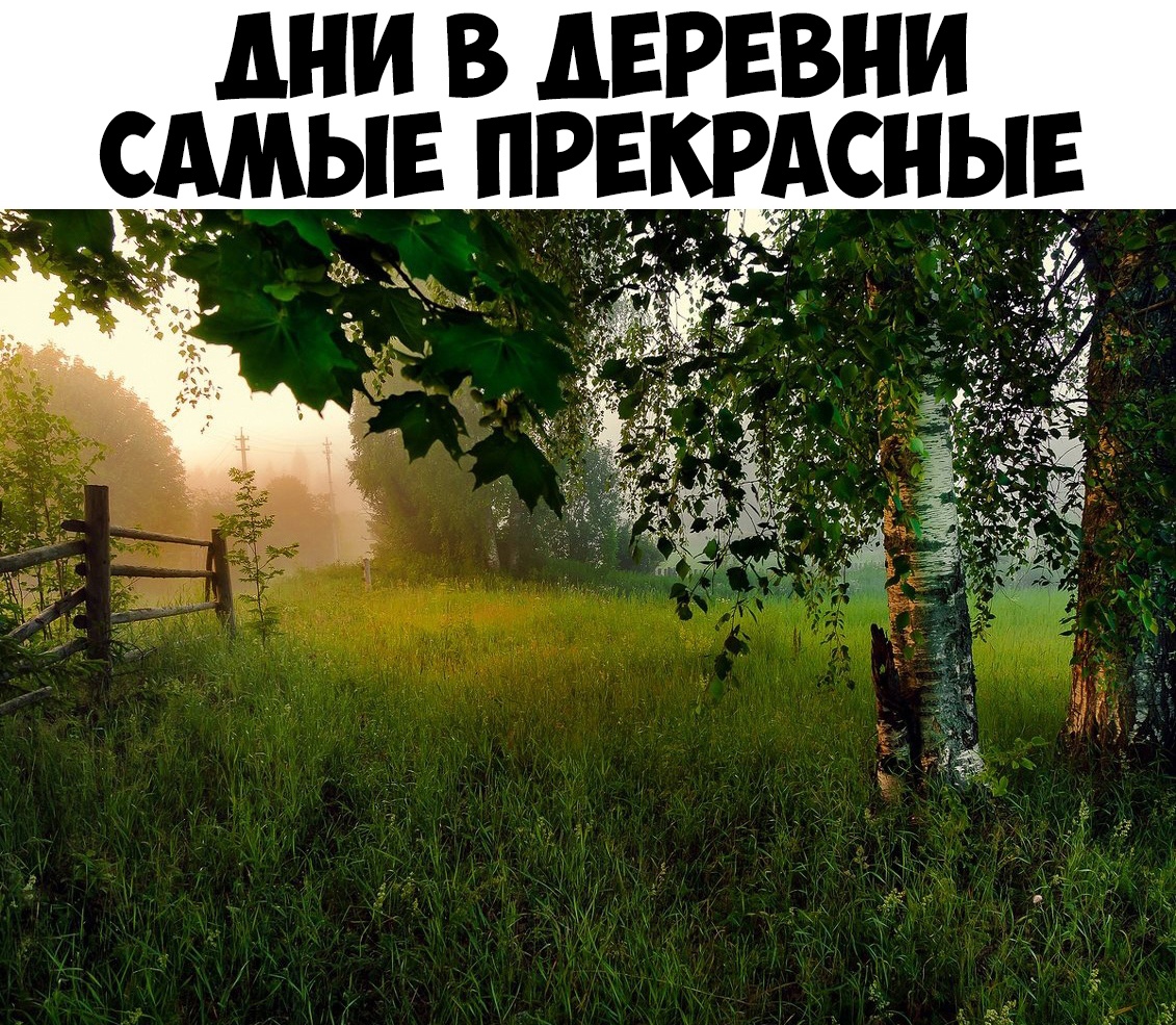 дни В дЕРЕВНИ САМЫЕ ПРЕКРАСНЫЕ