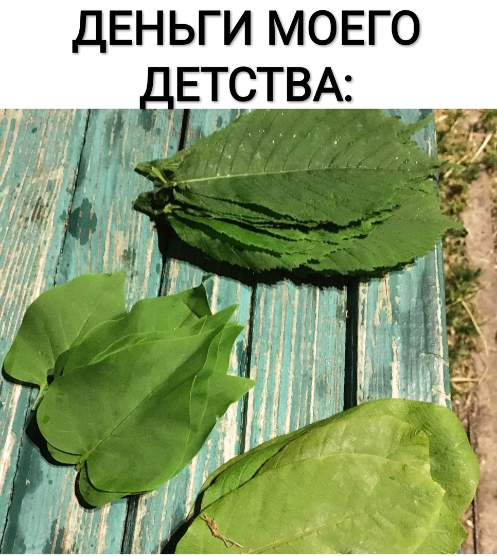 ДЕНЬГИ МОЕГО