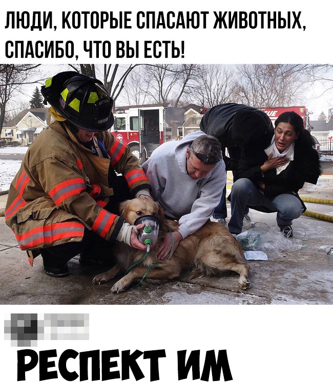 ЛЮДИ КОТОРЫЕ СПАВАЮТ ЖИВОТНЫХ