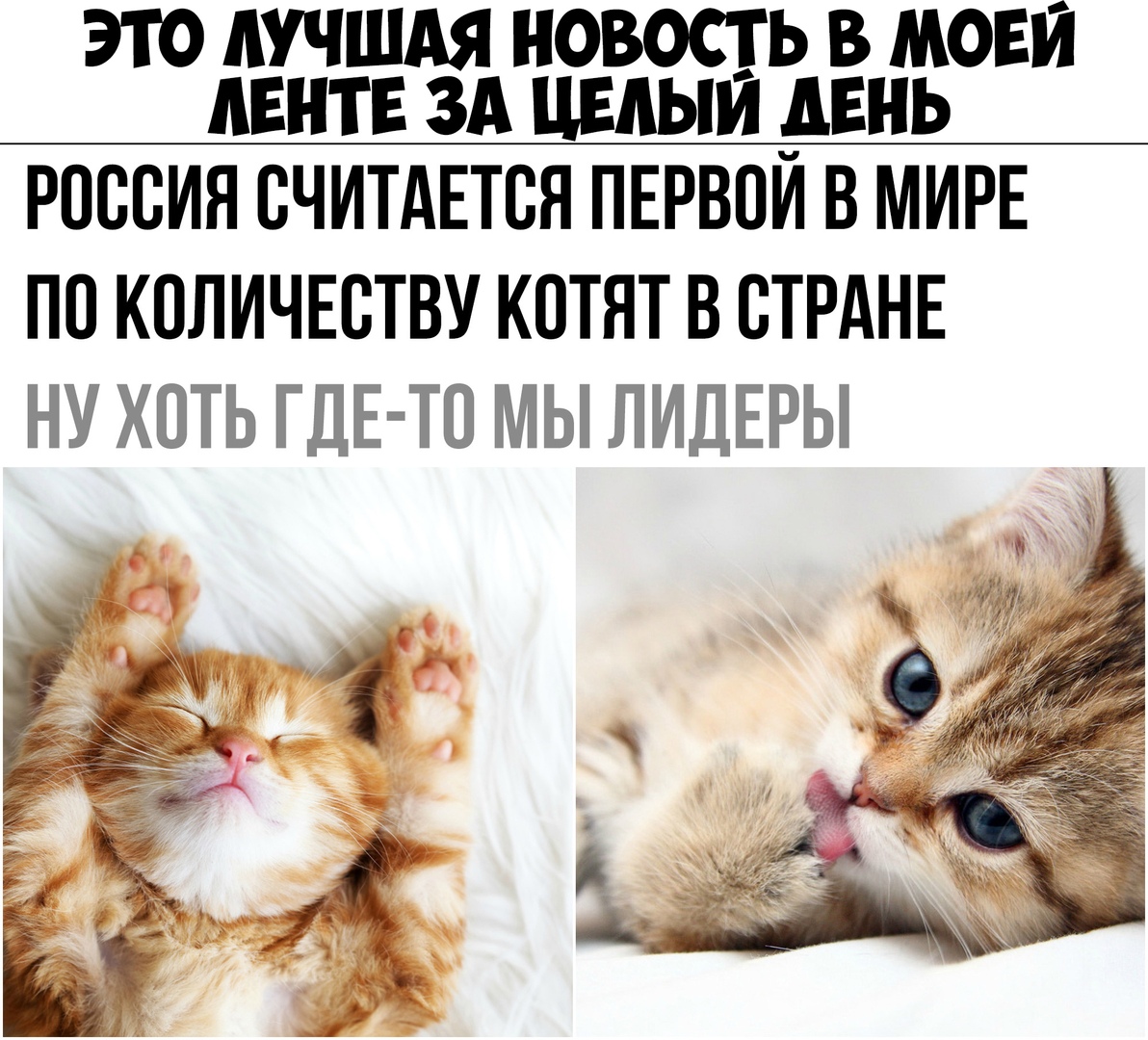 ЭТО ЛУЧШАЯ НОВОСТЬ В МОЕИ ЛЕНТЕ ЗА ЦЕАЫИ ЛЕНЬ РОССИЯ СЧИТАЕТСЯ ПЕРВОЙ В МИРЕ ПС КСЛИЧЕСТВУ КСТЯТ В СТРАНЕ 17