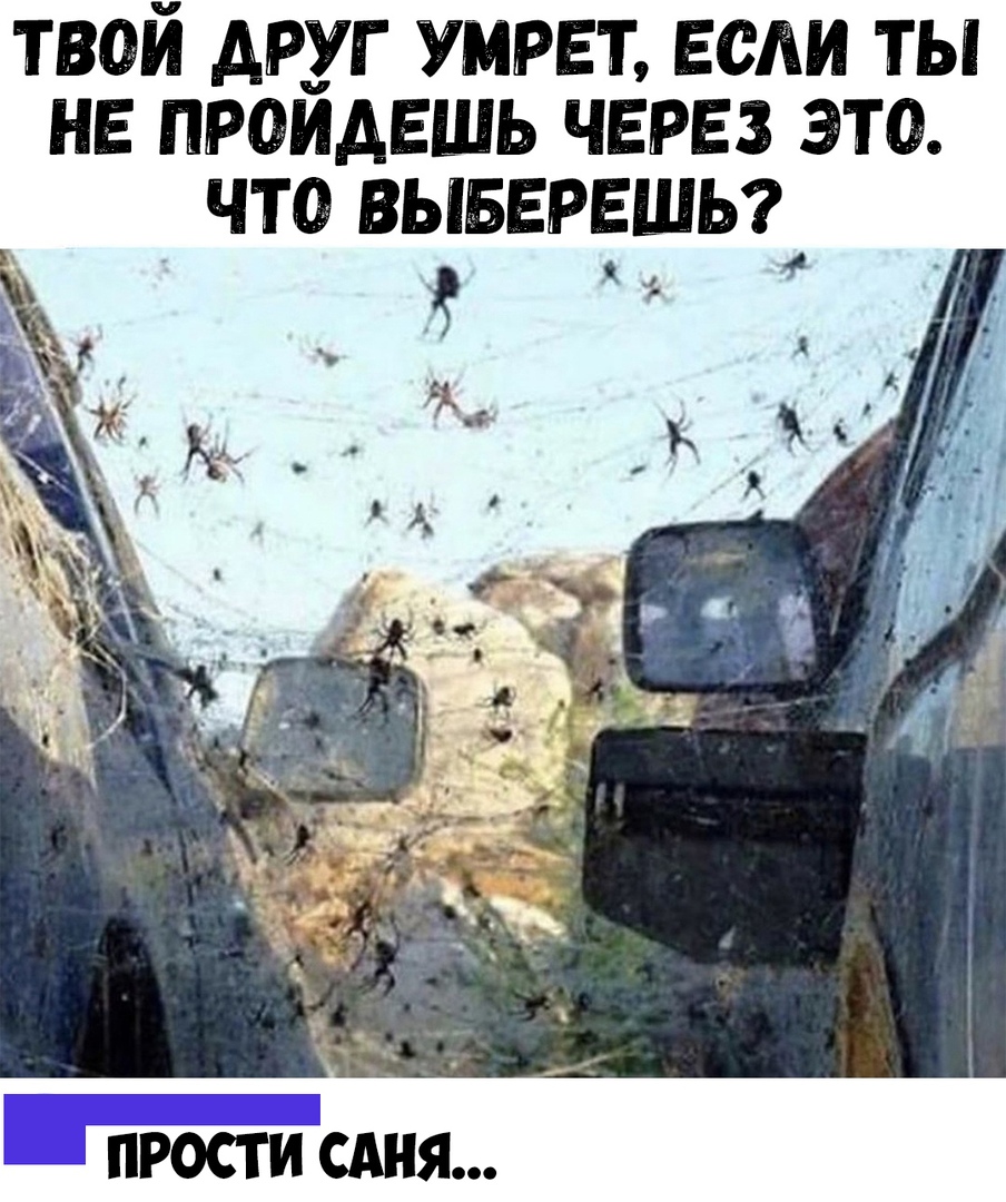 твой друг умрет если ты не проидвшь через это _ что вывврвшы
