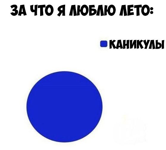 ЗА ЧТО Я ЛЮБЛЮ ЛЕТО КАНИКУЛЫ