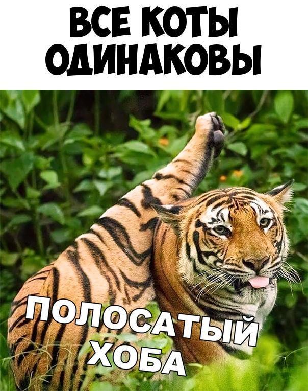 Ы _ш к Е
