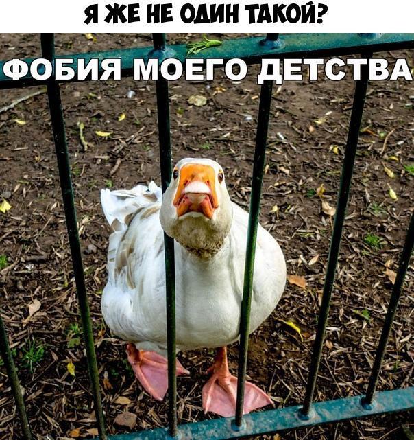 Я ЖЕ НЕ ОДИН ТАКОИ Фовия моего детствд