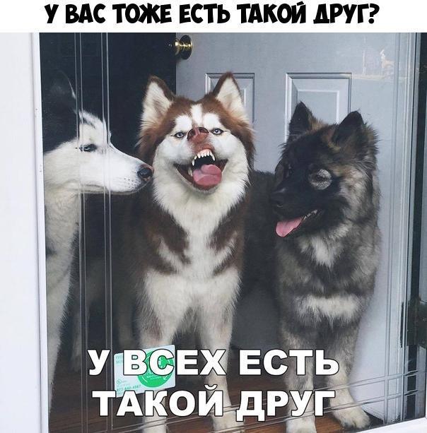 У ВАС ТОЖЕ ЕСТЪ_ТАКОЙ АРУГ