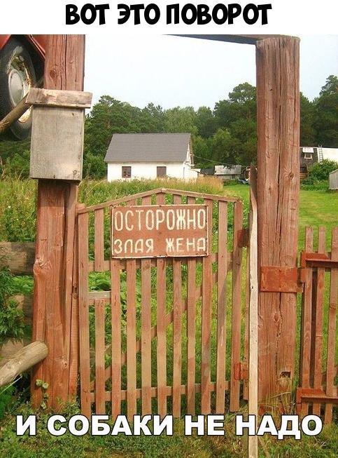 ВОТ ЭТО ПОВОРОТ у 151 иСЬБАки НЕ дд ЕАдо