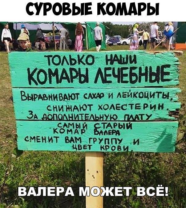 СУРОВЫЕ КОМАРЫ _ ЁАЛЁРА МЖЕТ всЁ