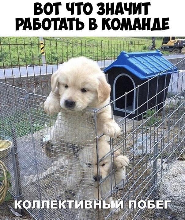 ВОТ ЧТО ЗНАЧИТ РАБОТАТЬ В КОМАНАЕ