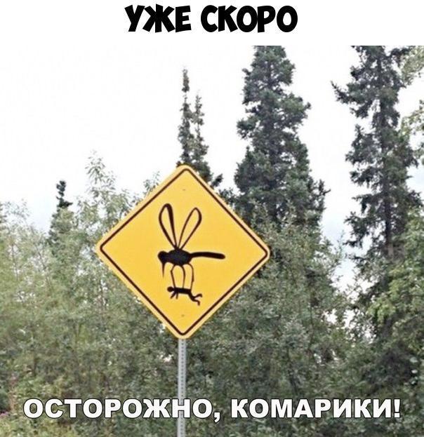 іОСТОРОЖіЁО КОМАРИКИ