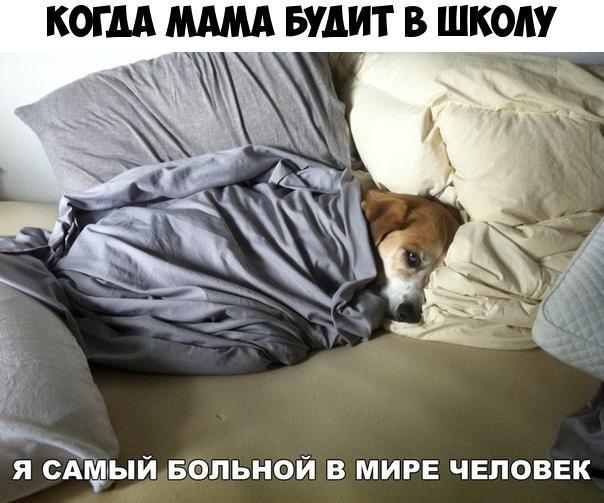 САМЫ Й БОЛЬНОЙ В МИРЕ ЧЕЛОВЕК