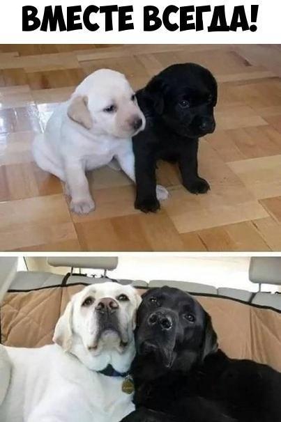 ВМЕСТЕ ВСЕГДА