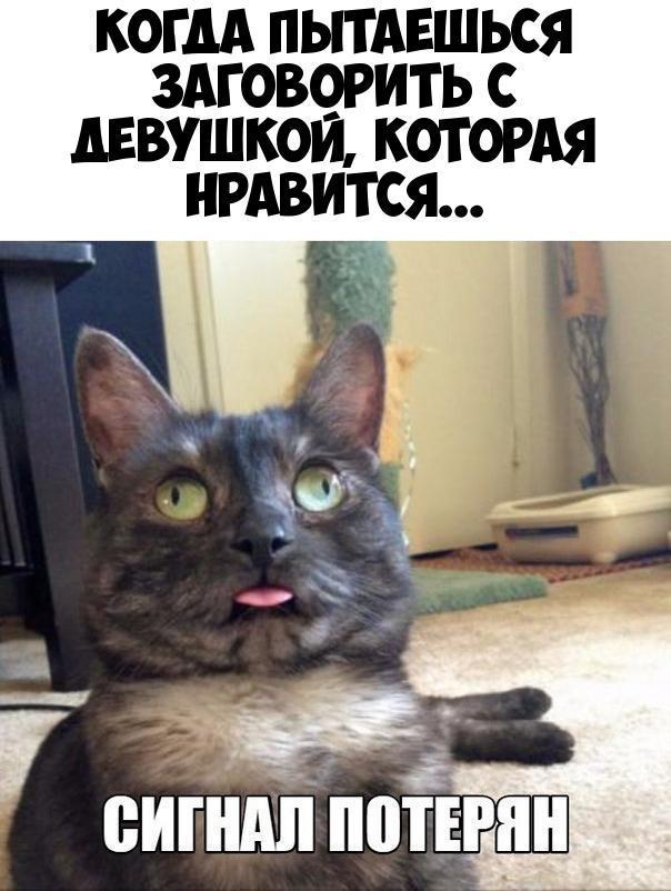 когм пытдвшься здговерить дввушкои которм еигнмі Потерян