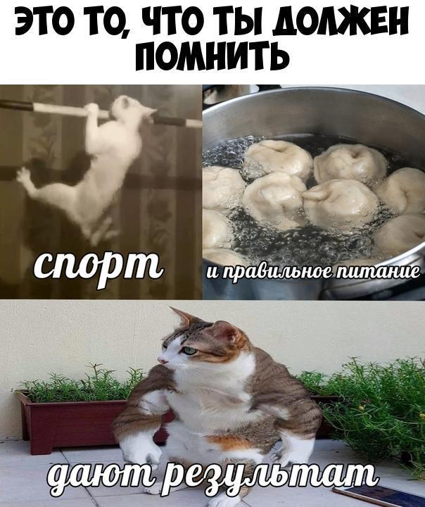 ЭТО ТО ЧТО ТЫ АОАЖЕН ПОШ ШТ