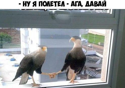 НУ Я ПОДЕТЕА Щ ММП