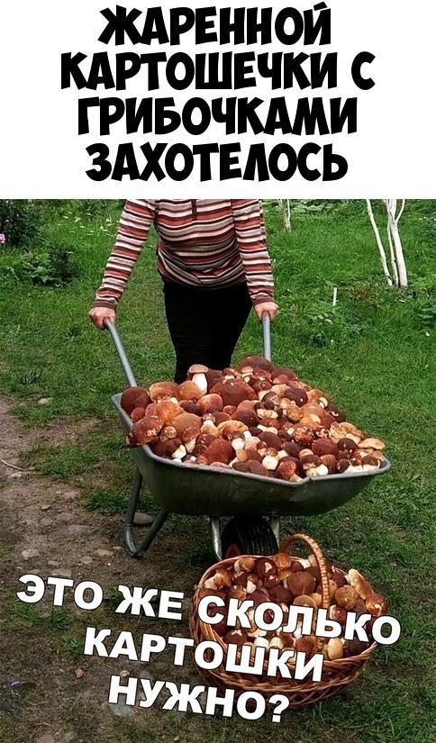 ЖАРЕННОЙ КАРТОШЕЧКИ С ГРИБОЧКАМИ ЗАХОТЕАОСЬ