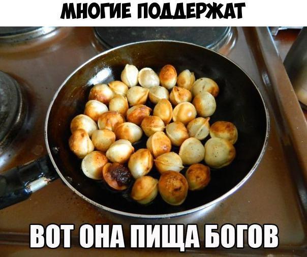 МНОГИЕ ПОДДЕРЖАТ ВОТ ОНА ПИЩА БОГОВ