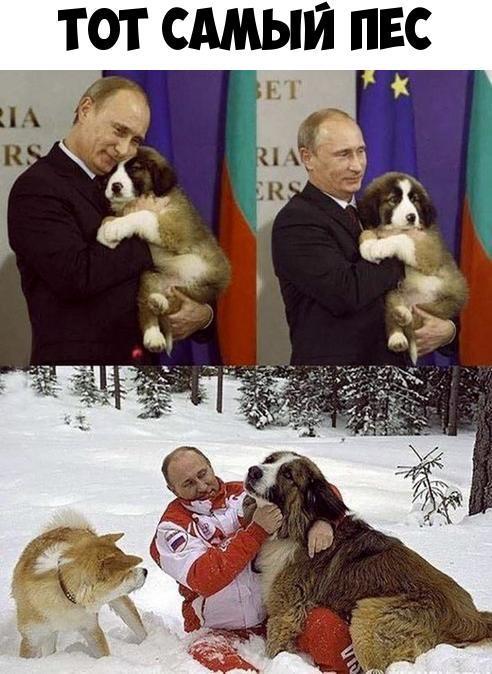 ТОТ САМЫЙ ПЕС д ВЕТ