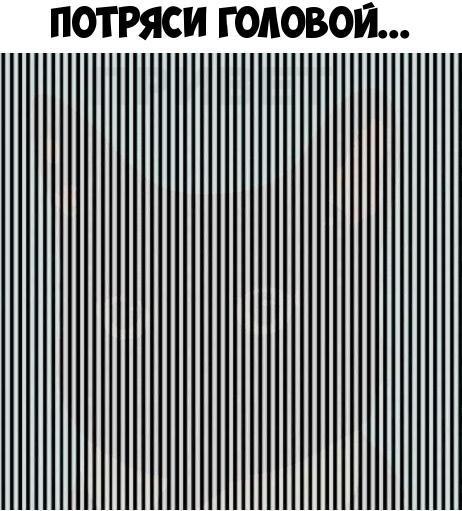 ПОТРЯСИ ГОЛОВОЙ