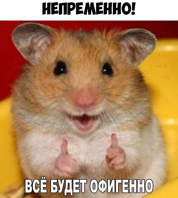 ВСЁ БУДЕТИ ООИГЕННО
