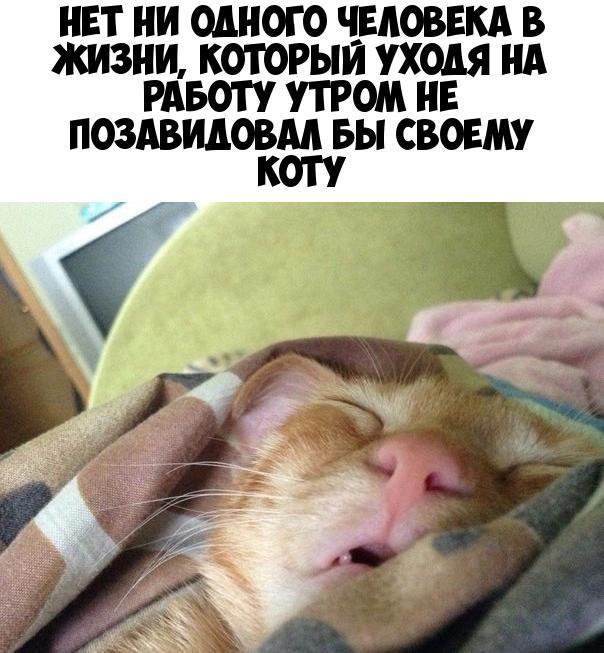 НЕТ НИ ОДНОГО ЧЕЛОВЕКА В ЖИЗНИ КОТОРЫЙ уходя НА РАБОТУ УТРОМ ПЕ ПОЗАВИДОВМ БН СВОЕМУ
