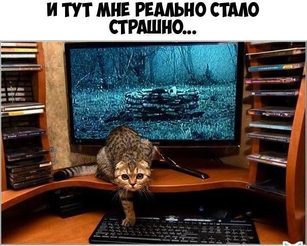 И ТУТ МНЕ РЕАЛЬНО СТАДО