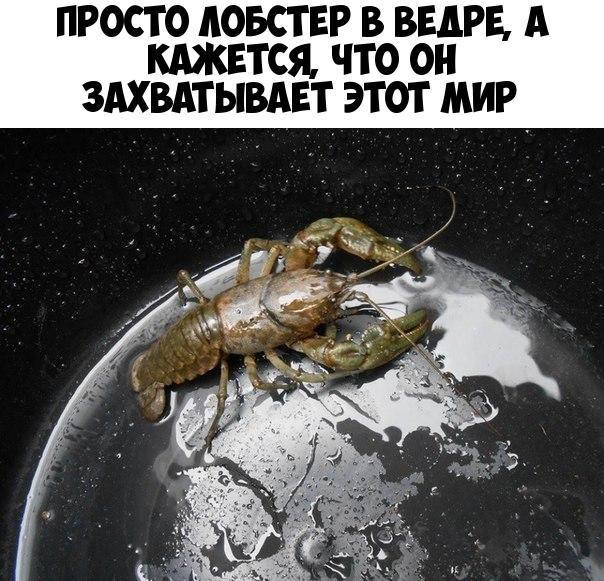 ПРОСТО дОБСТ ЕР В БЕДРБ А КАЖЕТСЯ ЧТО ОН ЗАХВАТЫВАЕТ ЭТОТ МИР