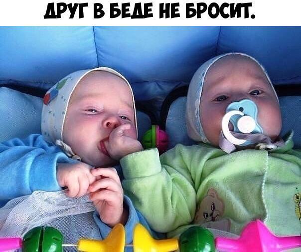 АР В БЕАЕ НЕ БРОСИТ