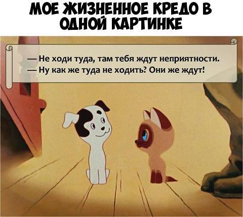мог жизненное кредо в одной кдгтинкв _ Не ходи туда там 1ебя ждуг неприятности Ну как же туда не ходитьз Они же ждут
