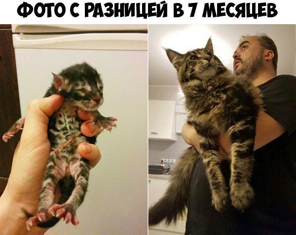 ФОТО С РАЗНИЦЕЙ В 1 МЕСЯЦЕВ
