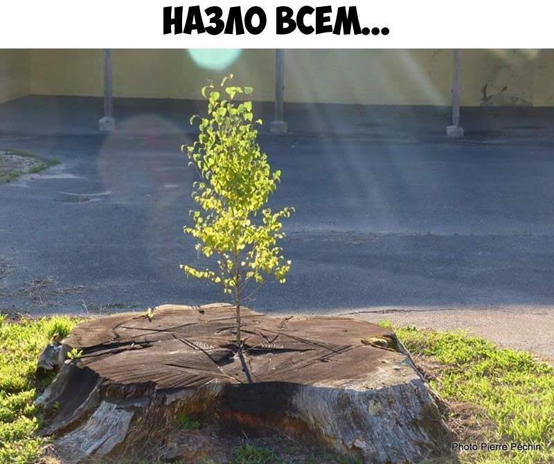 НАЗАО ВСЕМ