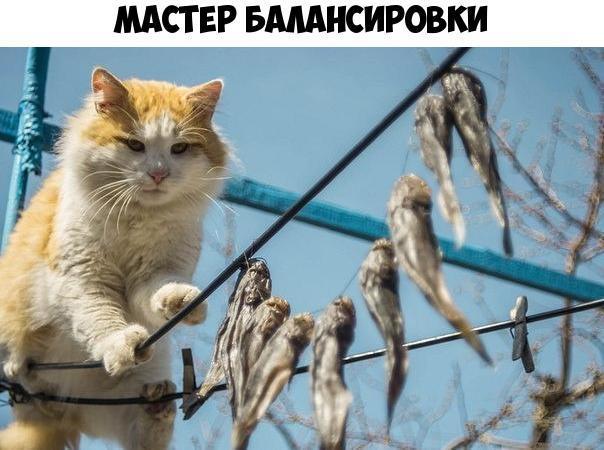 в 8 8 3 8