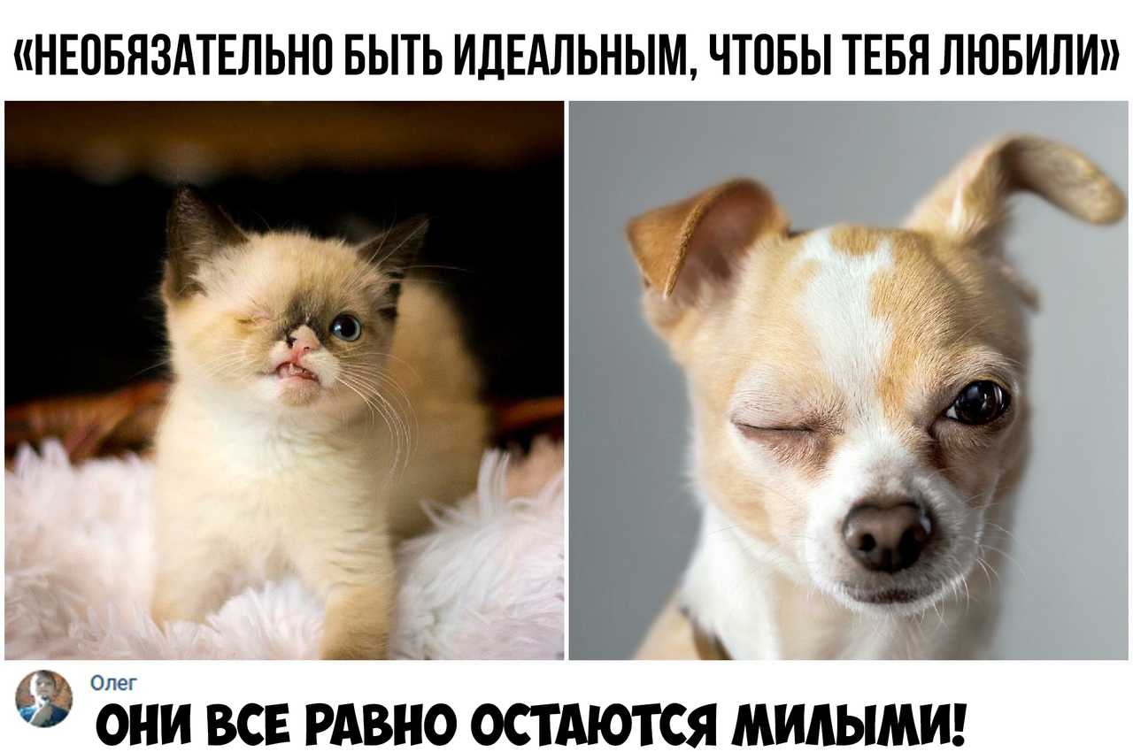 НЕОБЯЗАТЕЛЬНП БЫТЬ ИДЕАЛЬНЫМ ЧТОБЫ ТЕБЯ ЛЮБИЛИ д Ёіш всв РАВНО остАются мидымш